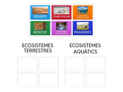 TIPUS D'ECOSISTEMES
