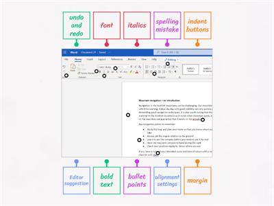 Microsoft Word (Home tab)