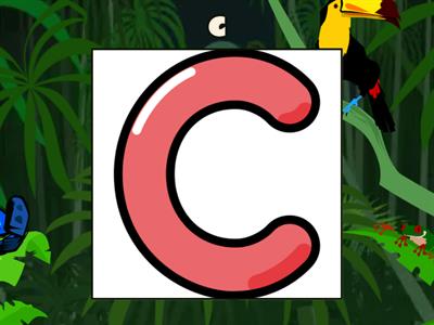 ALPHABET for ELSA fruit