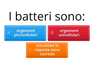 Quiz sui batteri