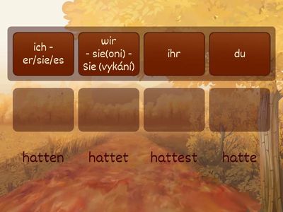 préteritum slovesa haben