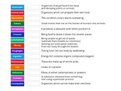 Nutrition (X)