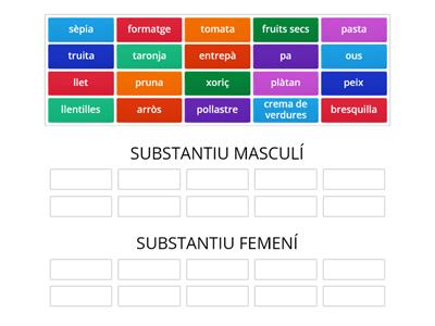 EL GÈNERE DELS SUBSTANTIUS