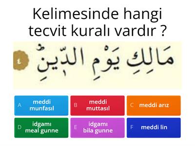 tecvit kuralları mini oyun