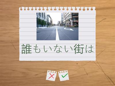 N2-54 ~かのようだ