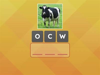 Биболетова 4 unit 3 vocab