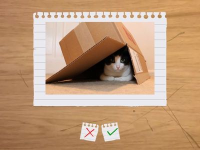 prepositions flashcards whole sentences (teens)