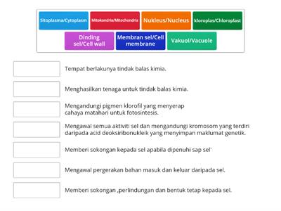 struktur dan fungsi sel