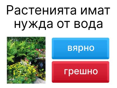 Природата около нас -2 клас