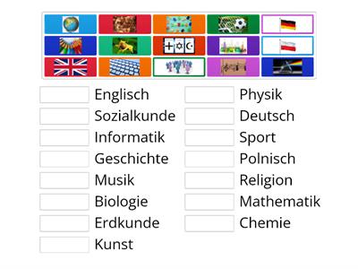 Schulfacher