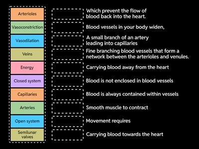 Formative NEE Transport in mammals - Match up