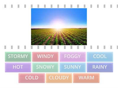 WEATHER