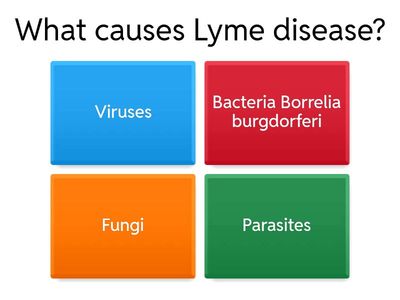 Lyme Disease - test