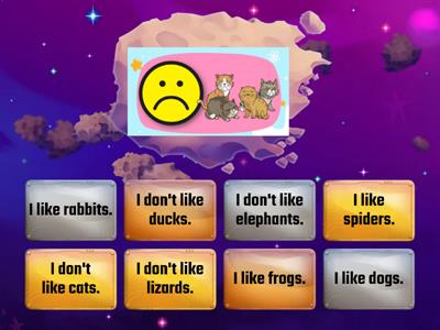 Y1 UNIT 3 : PET SHOW - I like/I don't like