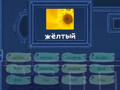 rainbow 3 unit 3 step 1