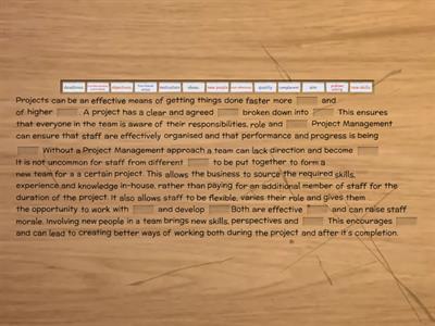 The importance of Project Management for Employees