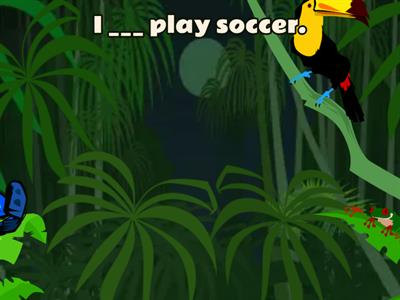 Present Simple Tense Practice