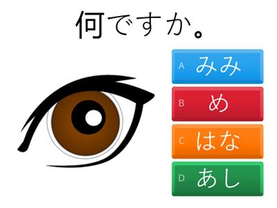 BODY PARTS QUIZ - JAPANESE WORDS-Hiragana