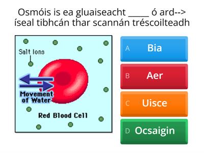 Osmóis AT