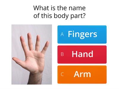 Body Parts