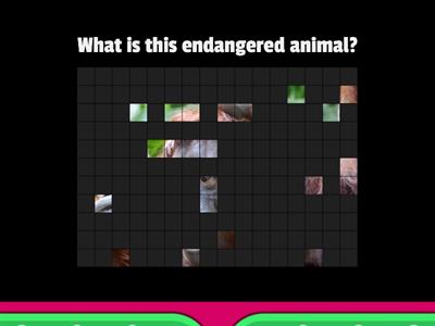 Endangered animals