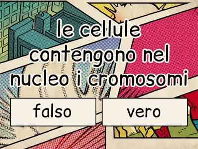 Apparato riproduttore