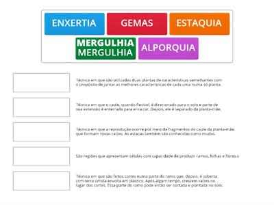 REPRODUÇÃO ASSEXUADA NAS PLANTAS