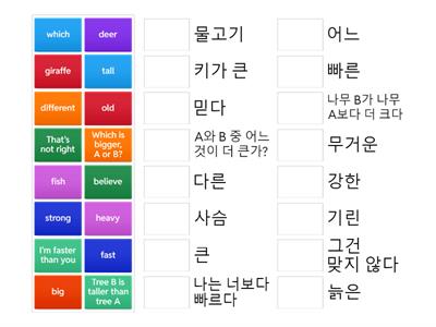 천재함 Lesson8. I'm taller than you 단어 문장 매치업
