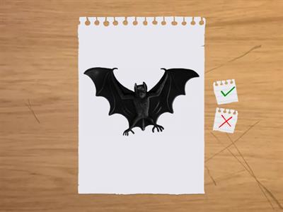 всі іграшки (1 клас)