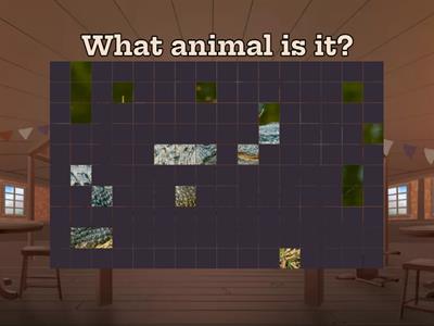 Look 2  Unit 9 Animals Image Quiz