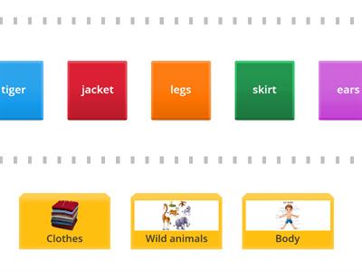 KB 1 sorting clothes/wild animals/body