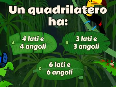 Quadrilateri