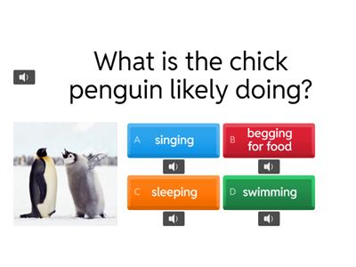 Talk about penguins; practice making complete sentences