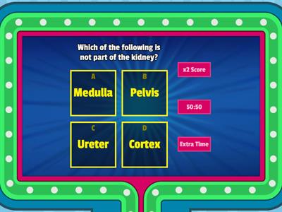 Urinary System & Urinalysis Review