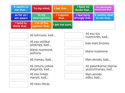 Opinion Phrases