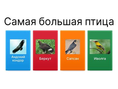 Самая,самая,самая... птица 