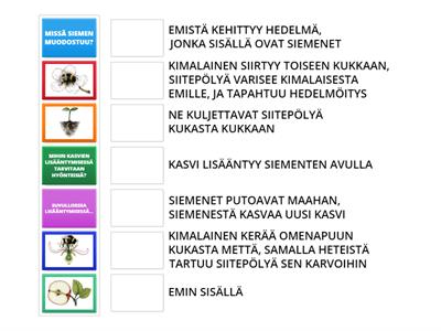 SUVULLINEN LISÄÄNTYMINEN