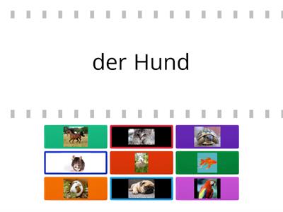 Paul, Lisa und Co, Tiere