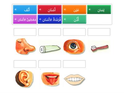 Year 1-Arabic -Chp. 3