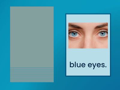 U2 Meet Ms Springfield - vocabulary