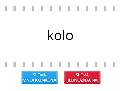 Slova jednoznačná a mnohoznačná