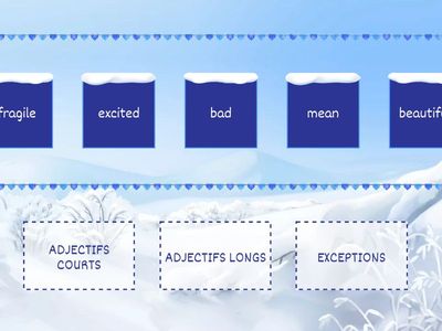 LES ADJECTIFS A TRIER