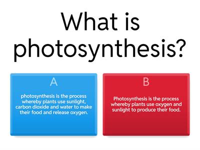 Process of Photosynthesis