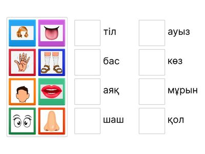 предшкола дене мүшелері