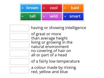 Adjectives - Wide Big World (Lovely)