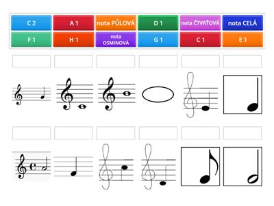 Poznáš noty? 