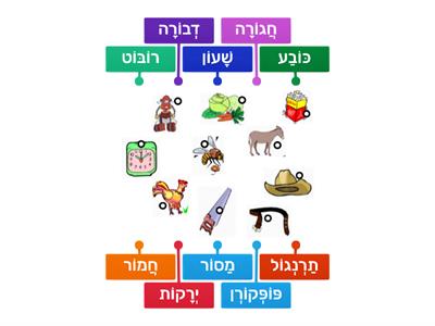 אוצר מילים בחולם