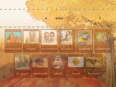 ✨Form 4 Unit 5 L 1✨