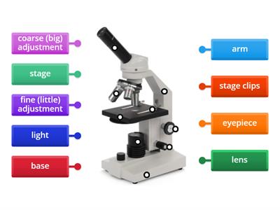 Label a Microscope