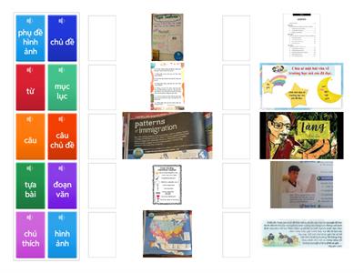 Informational Text Features